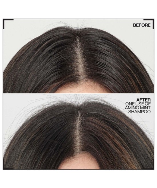 Redken Amino Mint Shampoing - Purifiant pour  racines grasses pointes sèches 300ml