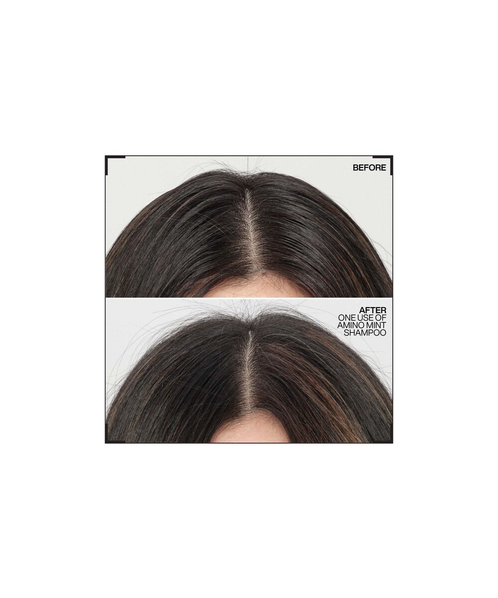 Redken Amino Mint Shampoing - Purifiant pour  racines grasses pointes sèches 300ml