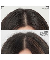 Redken Amino Mint Shampoing - Purifiant pour  racines grasses pointes sèches 300ml