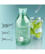 Redken Amino Mint Shampoing - Purifiant pour  racines grasses pointes sèches 300ml