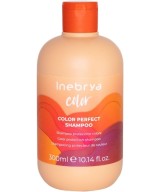 INEBRYA COLOR SHAMPOOING PROTECTION COULEUR 300 ML Produit pour cheveux