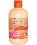 INEBRYA COLOR SHAMPOOING PROTECTION COULEUR 300 ML Produit pour cheveux