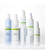 No Frizz Allowed Amazing Anti-Humidity 200ml